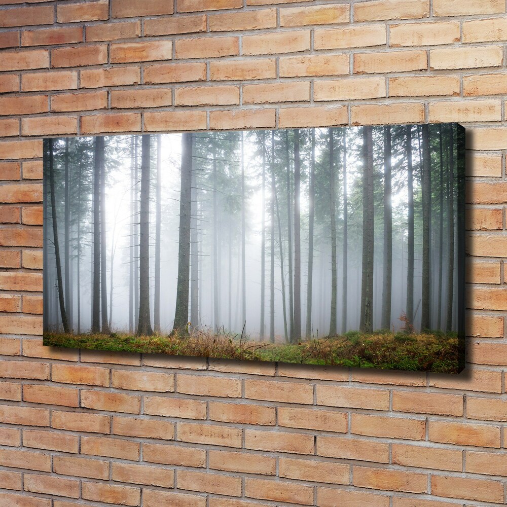 Canvas wall art Fog in the forest