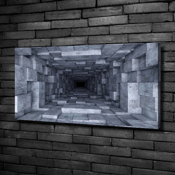 Canvas wall art Tunnel