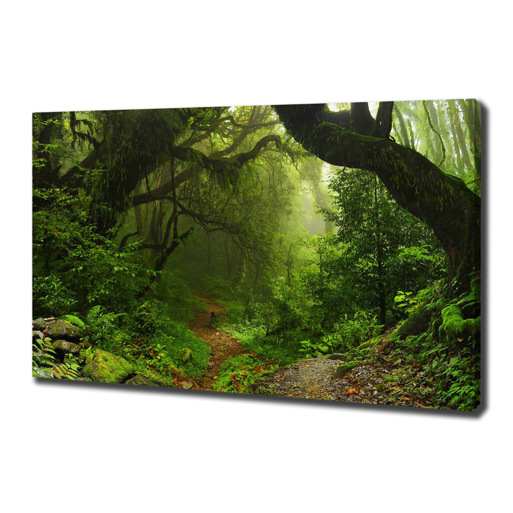 Canvas wall art Jungle in Nepal