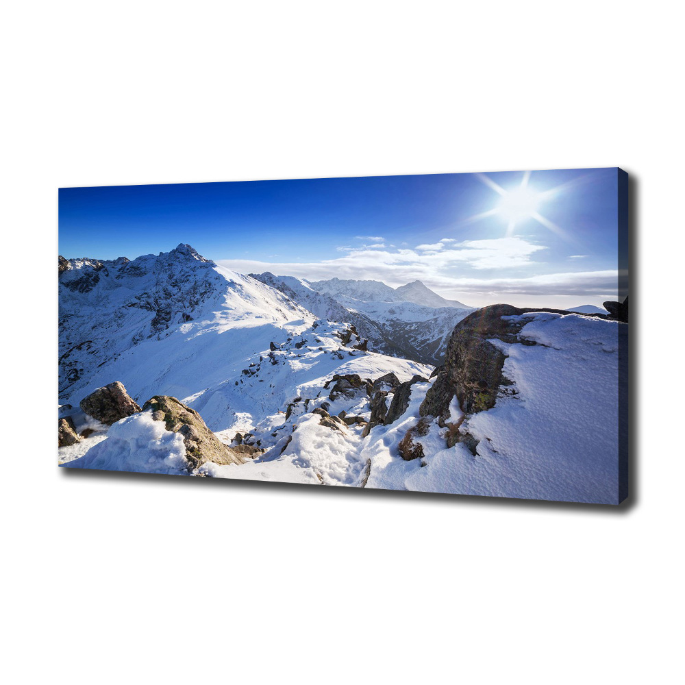 Canvas wall art Tatra peak