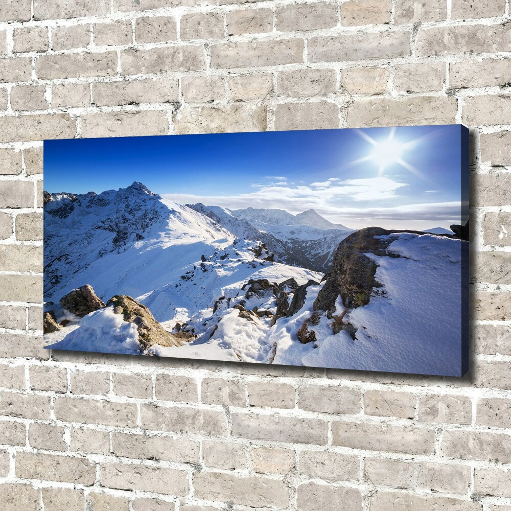 Canvas wall art Tatra peak