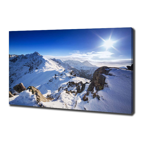 Canvas wall art Tatra peak