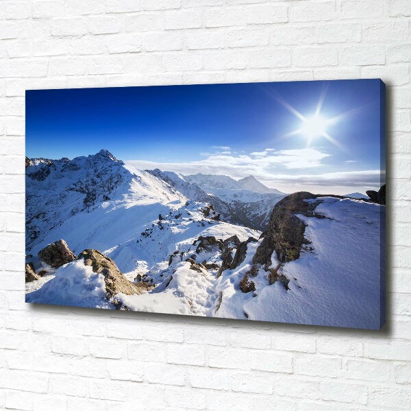 Canvas wall art Tatra peak