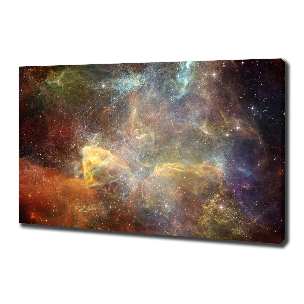 Canvas wall art Cosmos