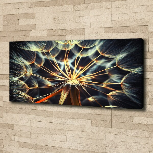 Canvas wall art dandelions