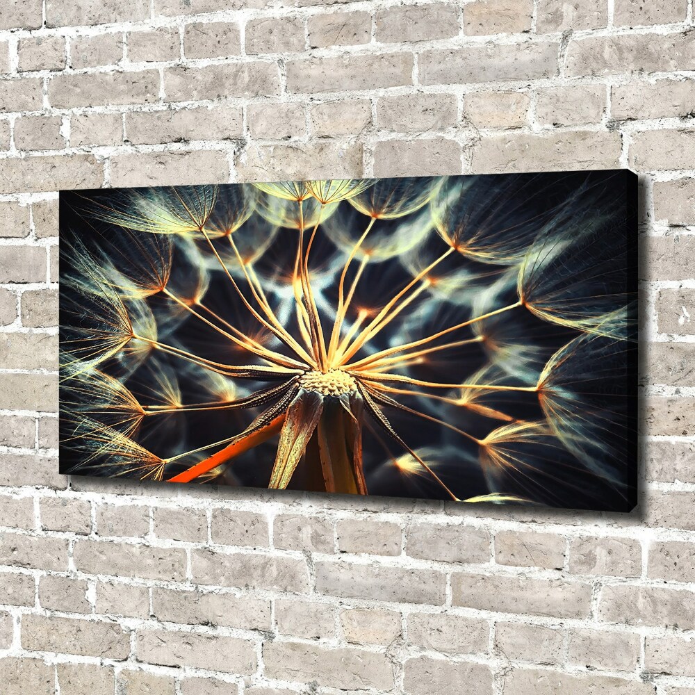 Canvas wall art dandelions