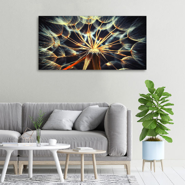 Canvas wall art dandelions