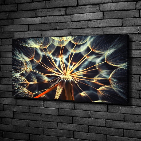 Canvas wall art dandelions