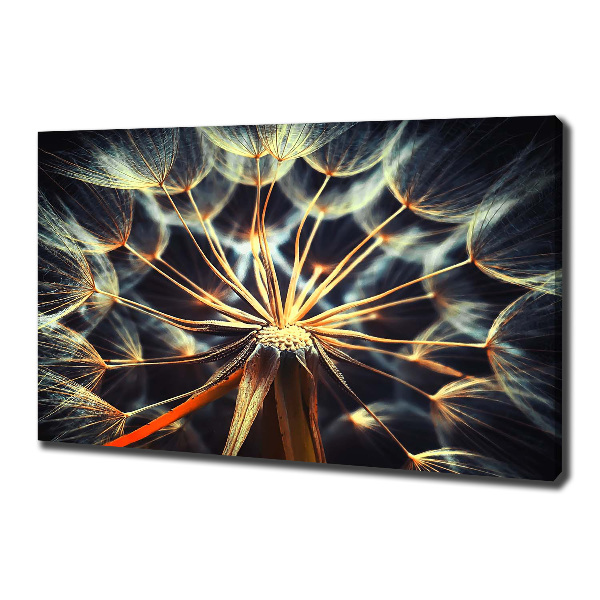 Canvas wall art dandelions