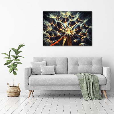 Canvas wall art dandelions