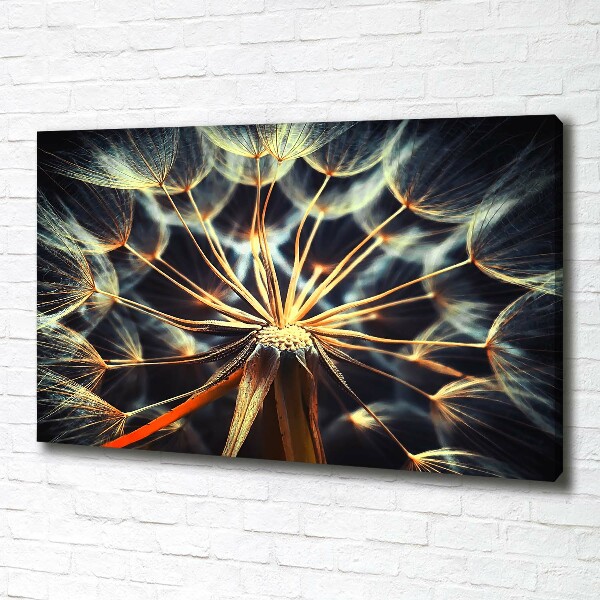 Canvas wall art dandelions