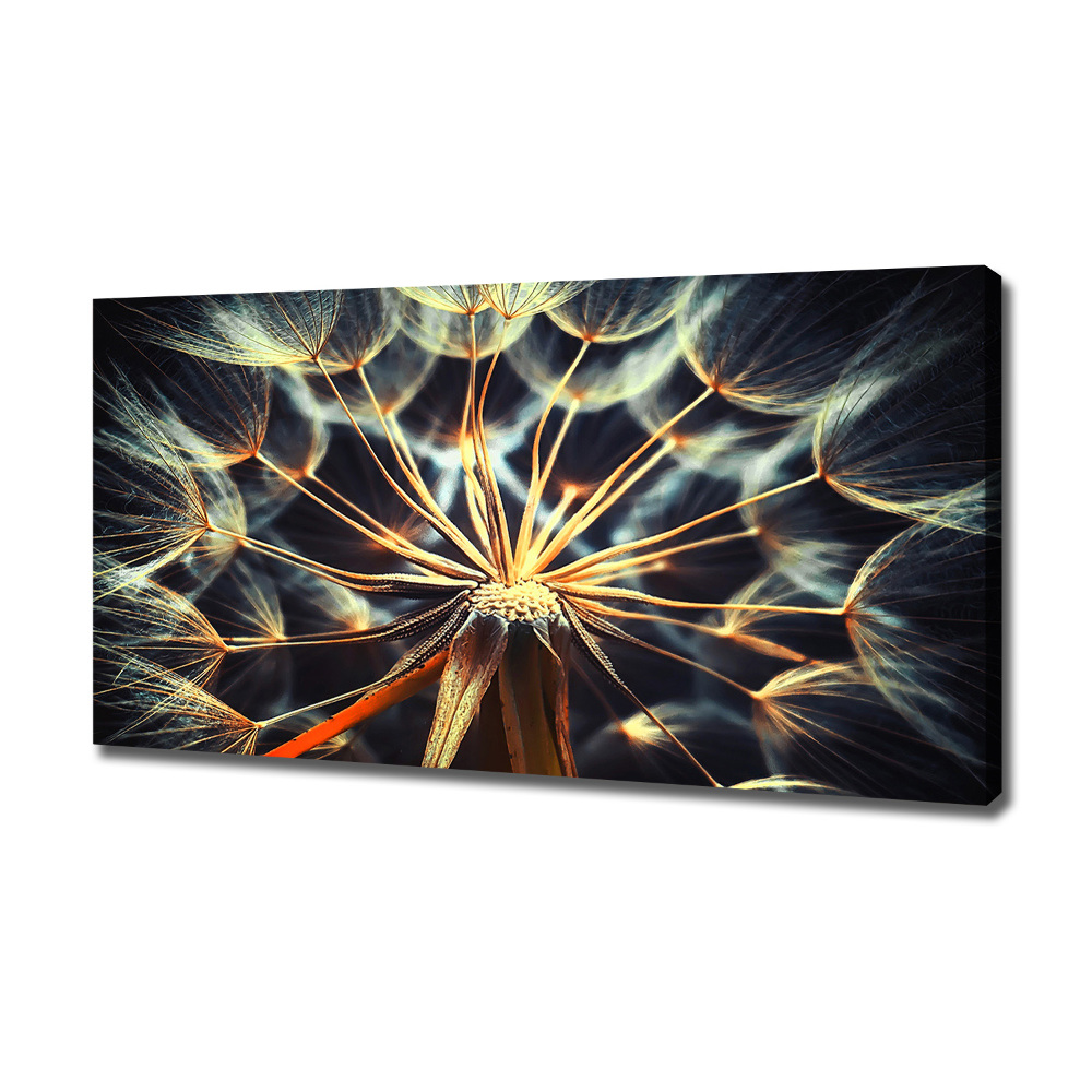 Canvas wall art dandelions