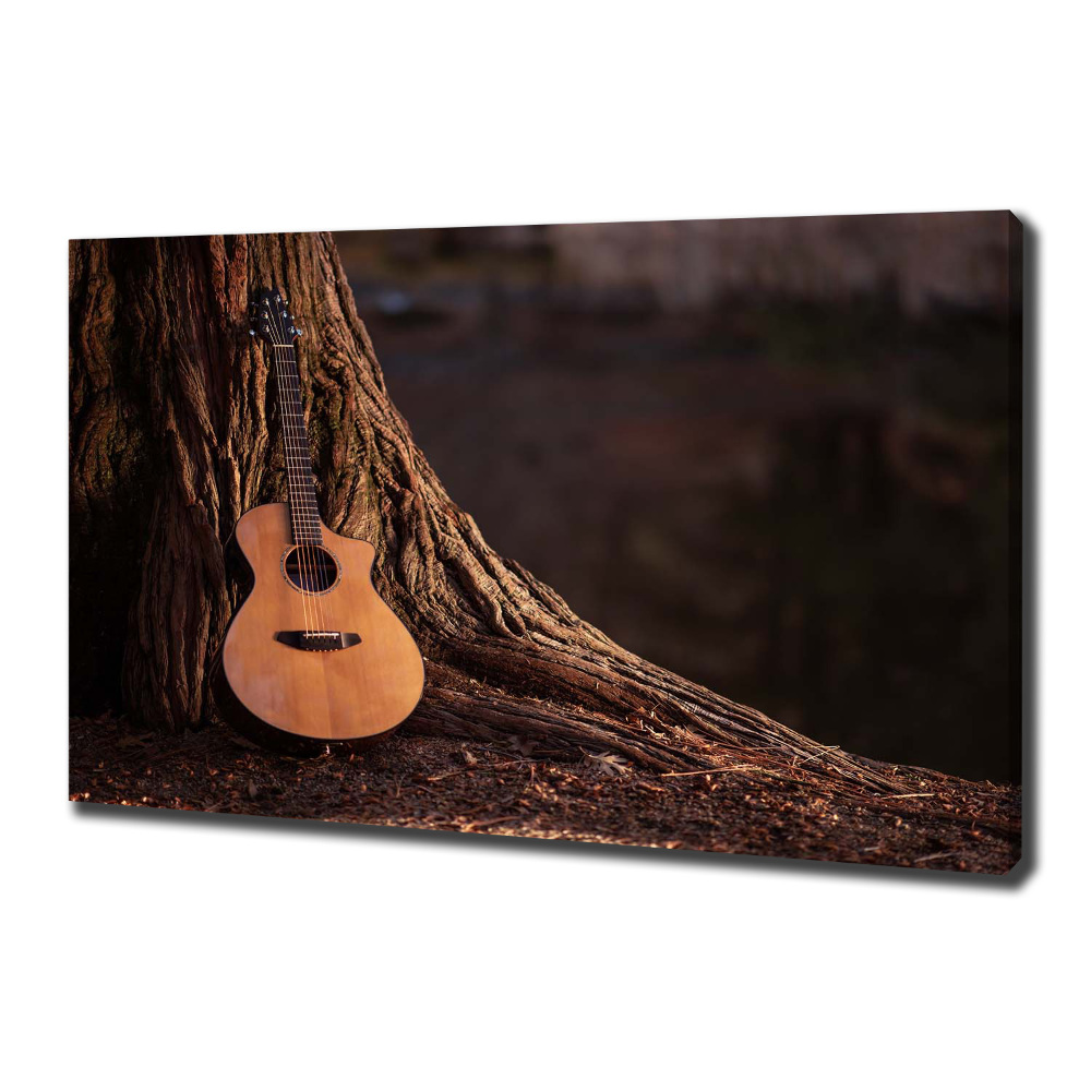 Canvas wall art Acoustic guitar