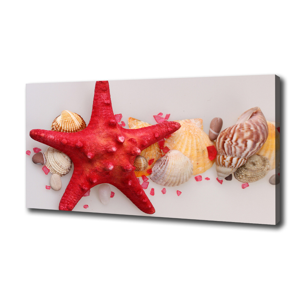 Canvas wall art Starfish and shells