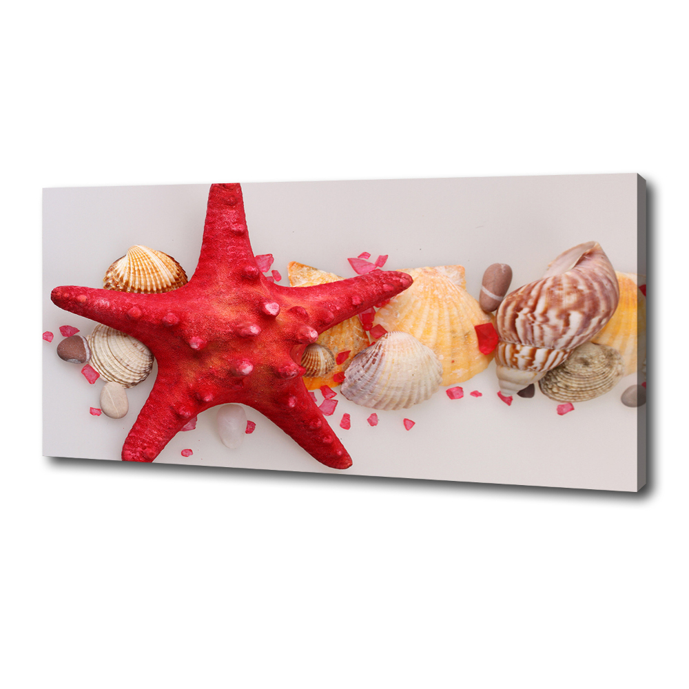 Canvas wall art Starfish and shells