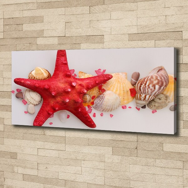 Canvas wall art Starfish and shells