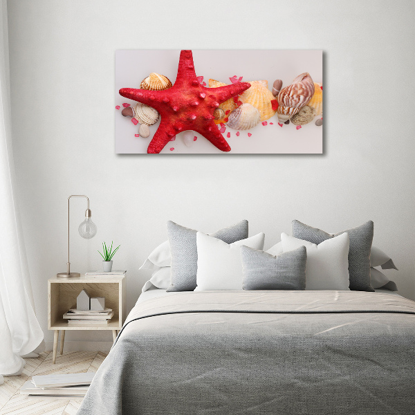 Canvas wall art Starfish and shells