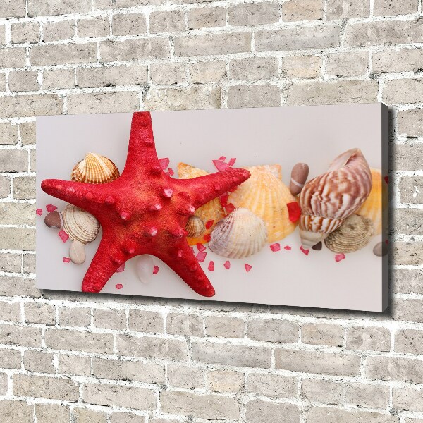 Canvas wall art Starfish and shells