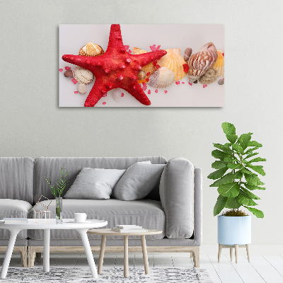 Canvas wall art Starfish and shells