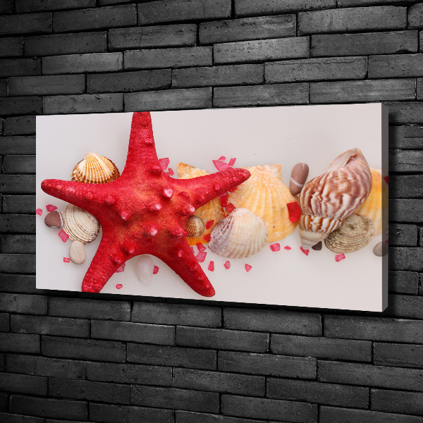 Canvas wall art Starfish and shells