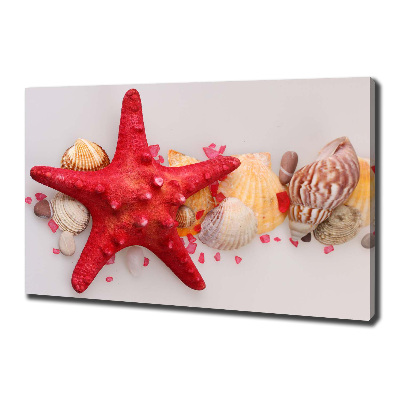 Canvas wall art Starfish and shells