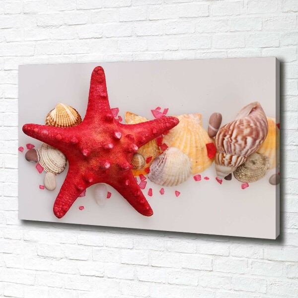 Canvas wall art Starfish and shells