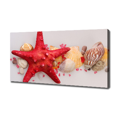 Canvas wall art Starfish and shells