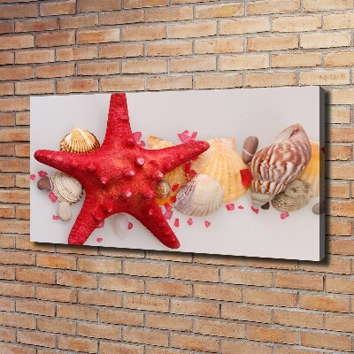 Canvas wall art Starfish and shells