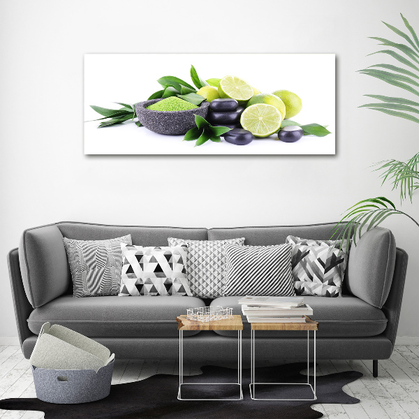 Canvas wall art Lime and stones