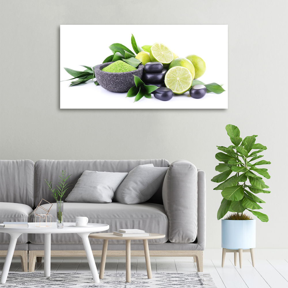 Canvas wall art Lime and stones