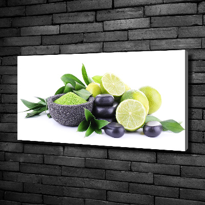 Canvas wall art Lime and stones