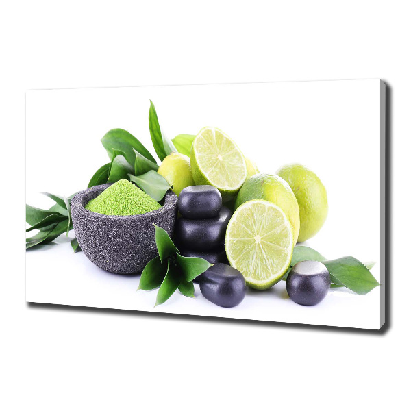 Canvas wall art Lime and stones