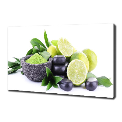 Canvas wall art Lime and stones