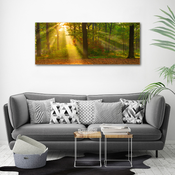 Canvas wall art Forest in the sun