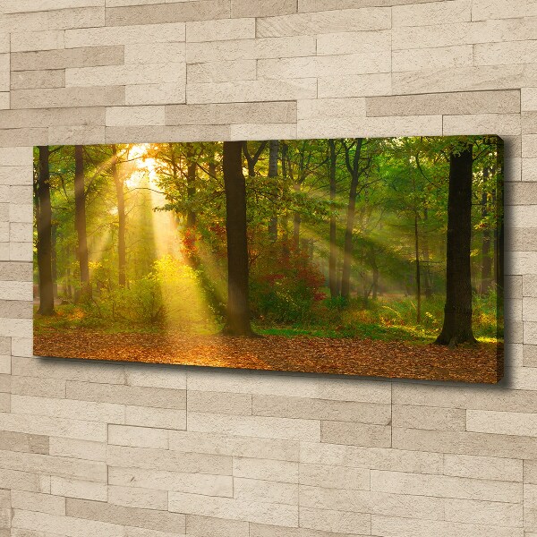 Canvas wall art Forest in the sun