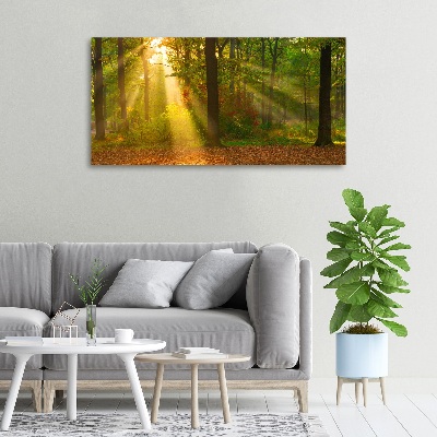 Canvas wall art Forest in the sun