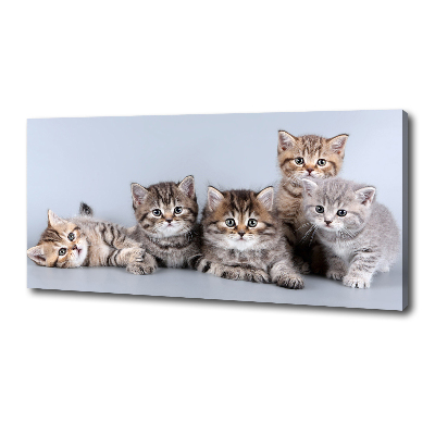 Canvas wall art Five cats