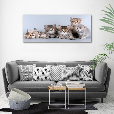 Canvas wall art Five cats