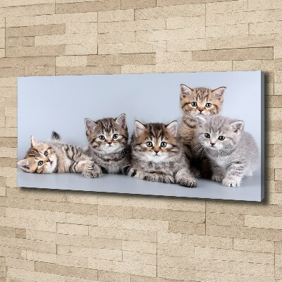 Canvas wall art Five cats