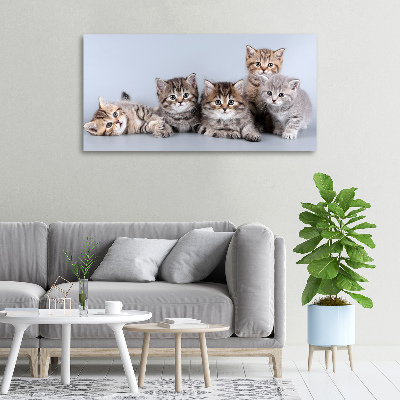 Canvas wall art Five cats