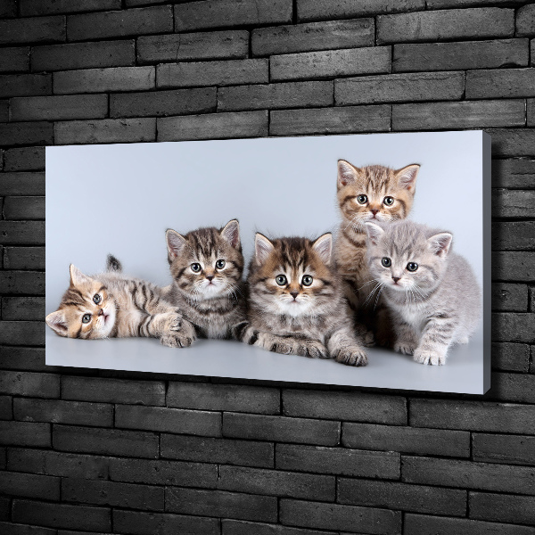 Canvas wall art Five cats