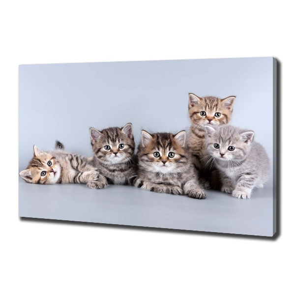 Canvas wall art Five cats