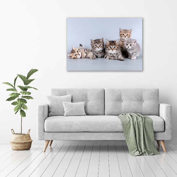 Canvas wall art Five cats