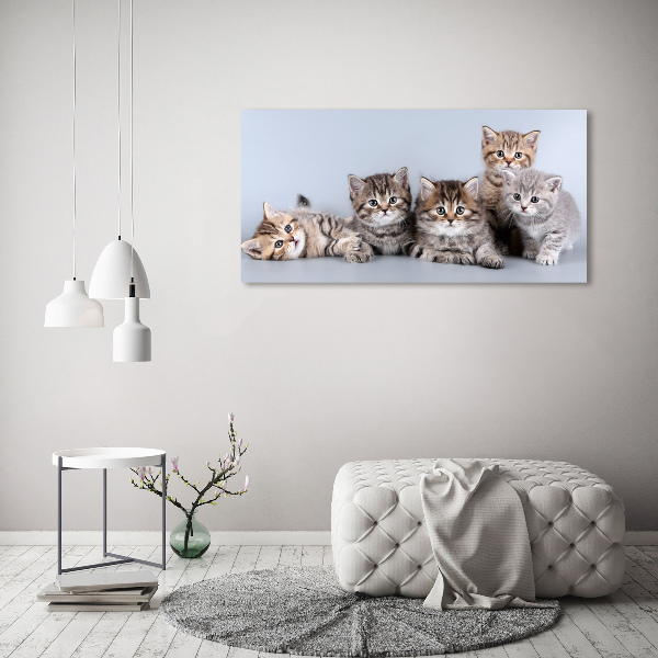 Canvas wall art Five cats