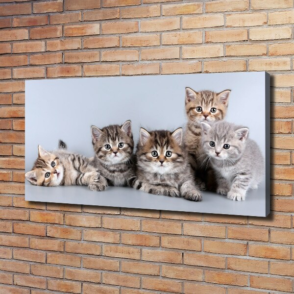 Canvas wall art Five cats