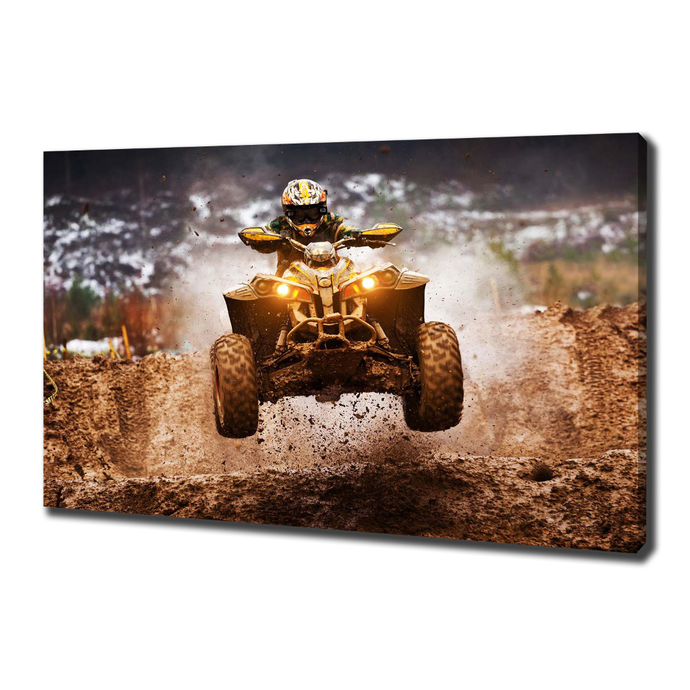 Canvas wall art Quad