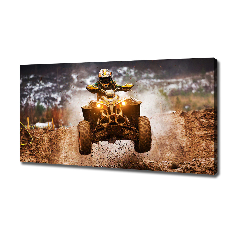 Canvas wall art Quad