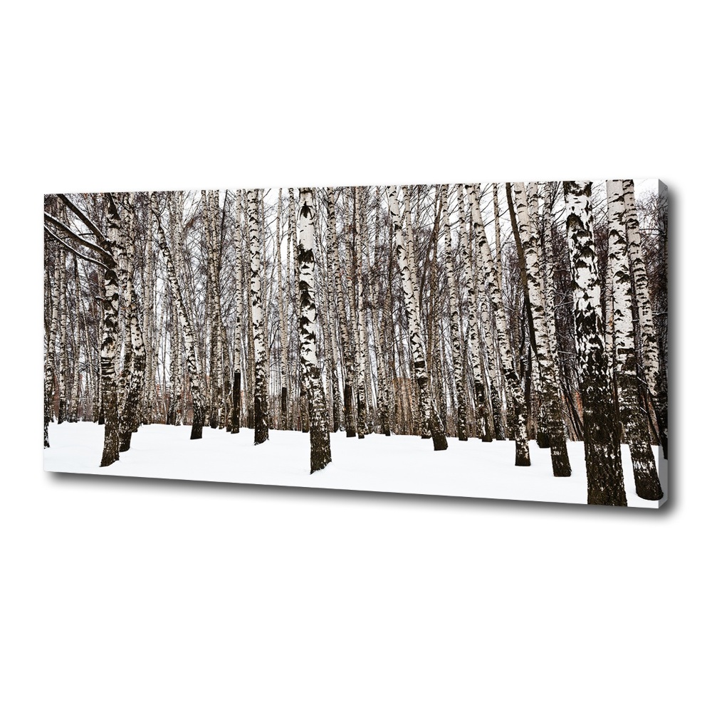 Canvas wall art Birches in winter