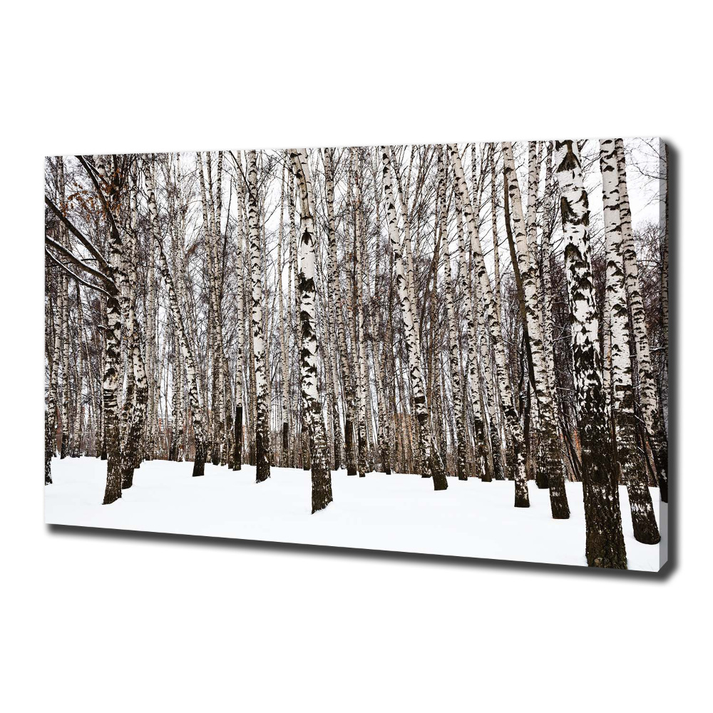 Canvas wall art Birches in winter