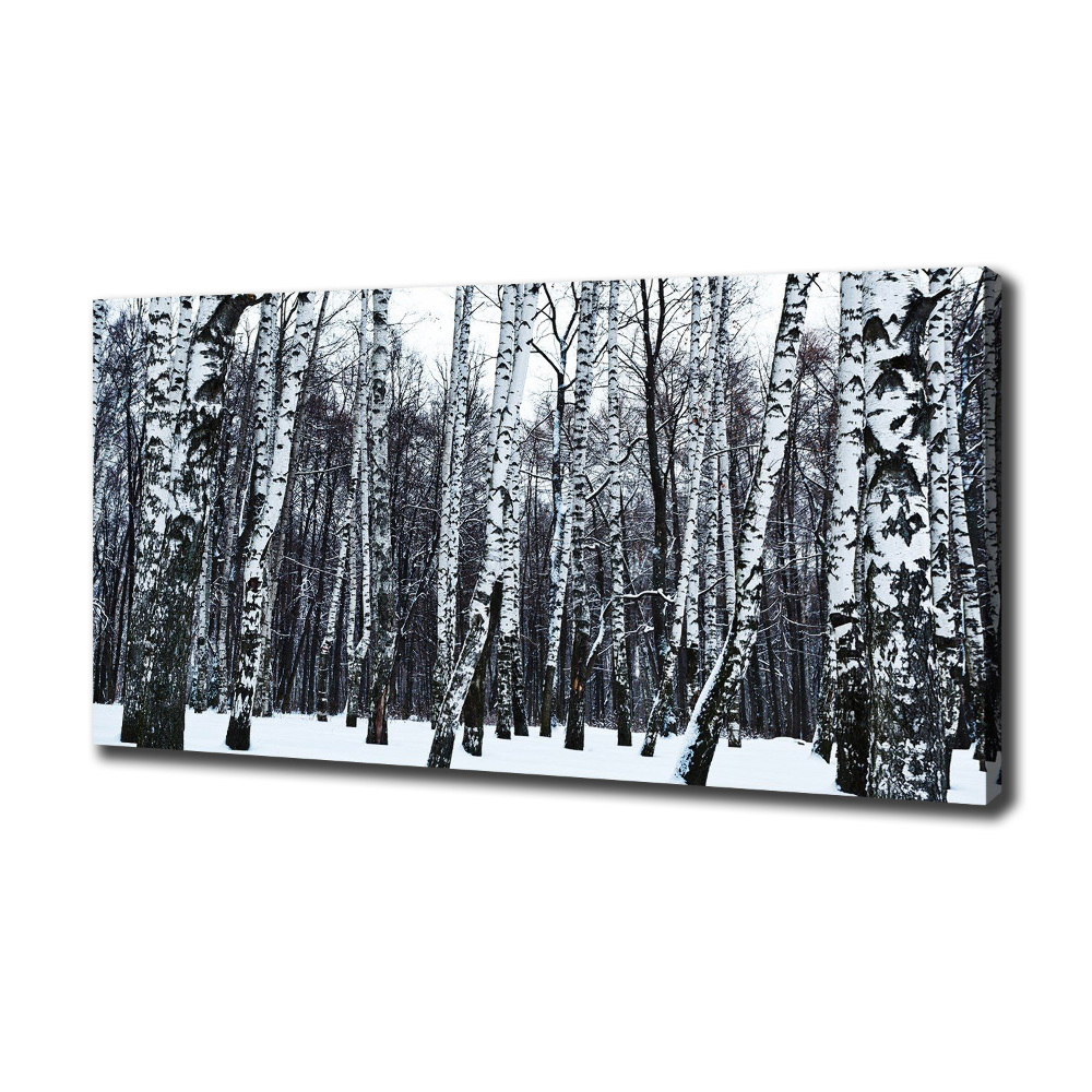 Canvas wall art Birches in winter